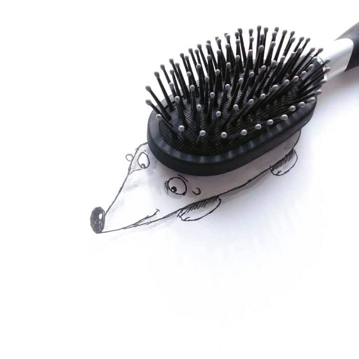 brush-hedgehog-illustration