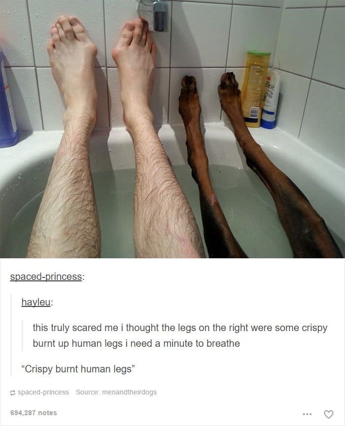 crispy-burnt-human-legs-dog-legs-in-bath