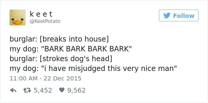 dog-bark-burglar-joke-tweet