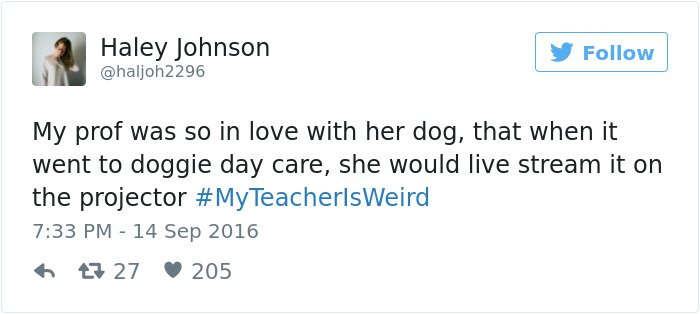 doggie-day-care-my-teacher-is-weird-tweet