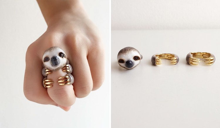 grey-sloth-animal-rings