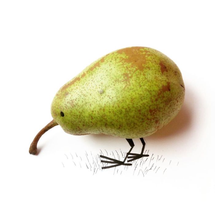 kiwi-but-not-really-illustration