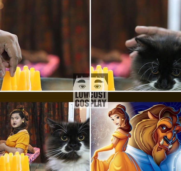 low-cost-cosplay-cat-beauty-beast