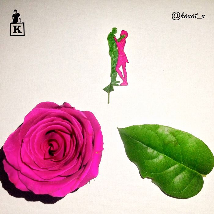 male-and-female-petal-and-leaf-drawing