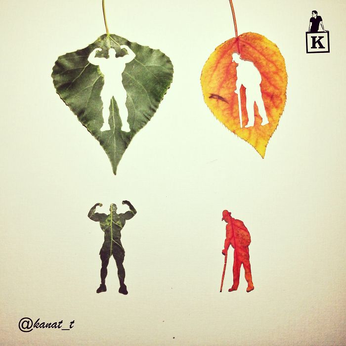 muscle-man-old-man-leaf-drawings