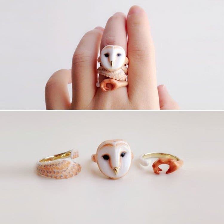 owl-animal-rings