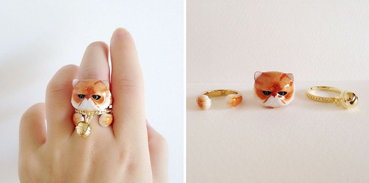 persian-cat-animal-rings