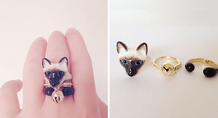 siam-cat-animal-rings