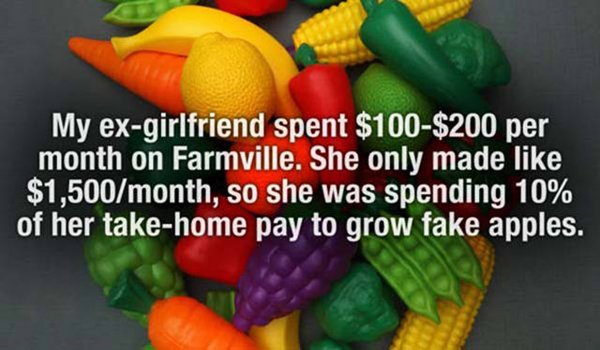 silliest-purchases-farmville