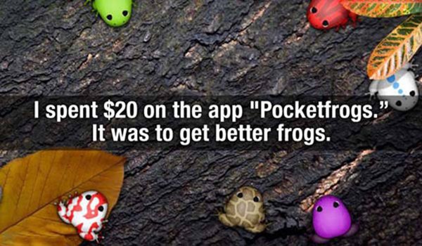 silliest-purchases-pocketfrogs-app