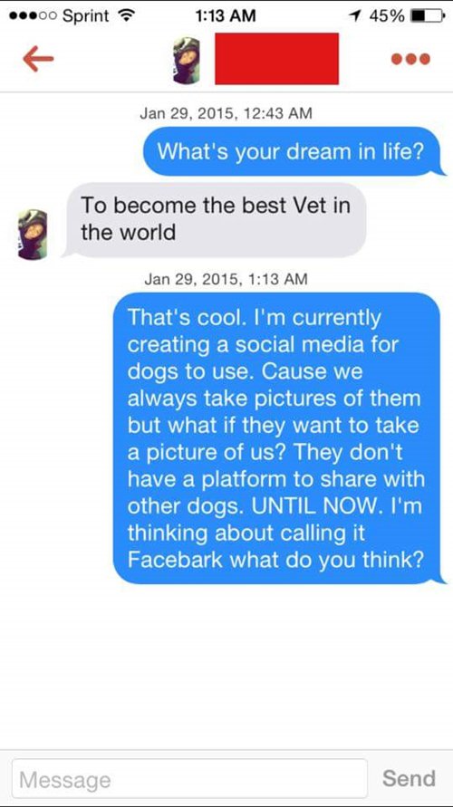 tinder-funnies-facebark-genius