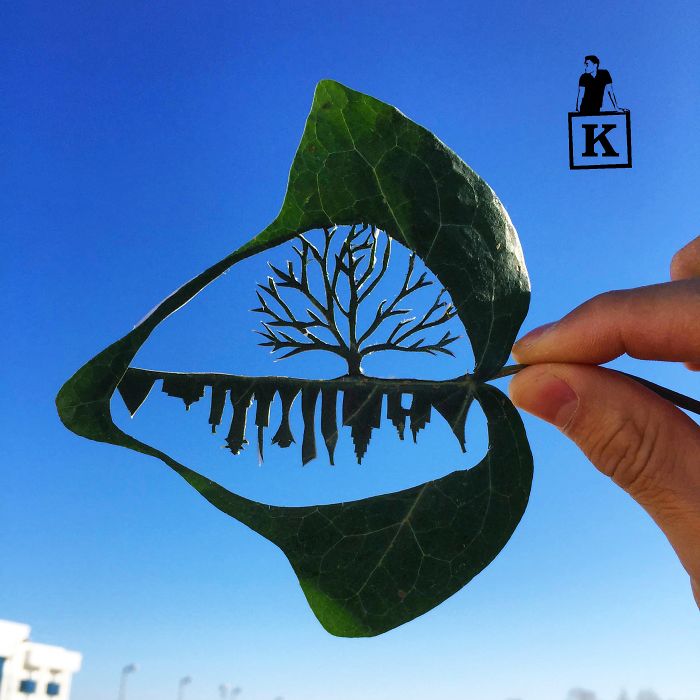 tree-leaf-drawing