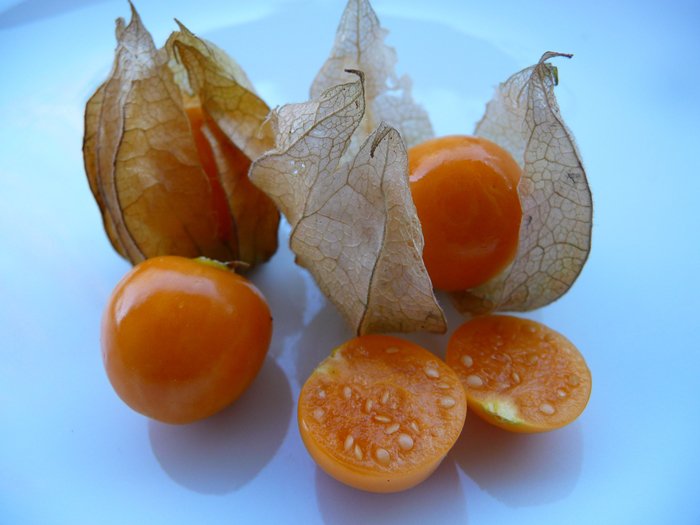 weird-fruits-tomato-family-physalis-sweet-but-acidic