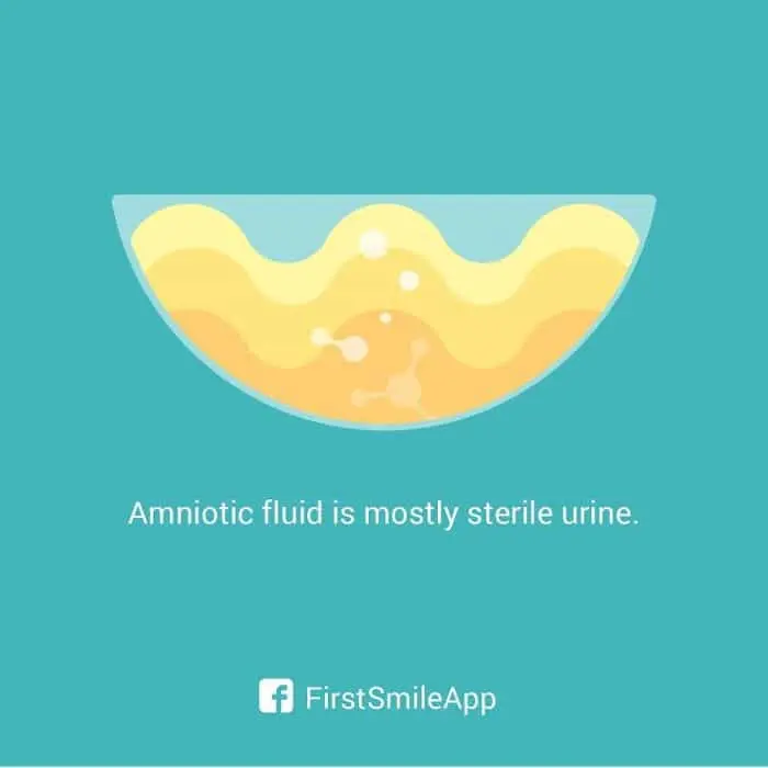 weird-pregnancy-facts-amniotic-fluid-urine