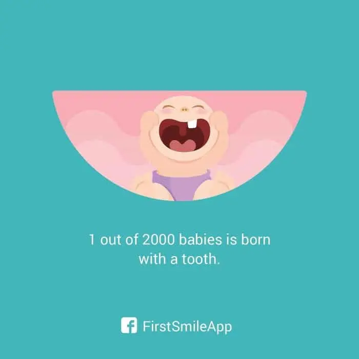 weird-pregnancy-facts-toothy-babies