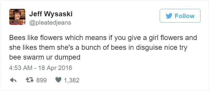 bee-swarm-youre-dumped-jeff-wysaski-tweet