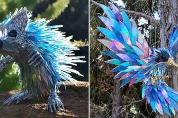 artists-recycles-cds-sculptures-sean-avery