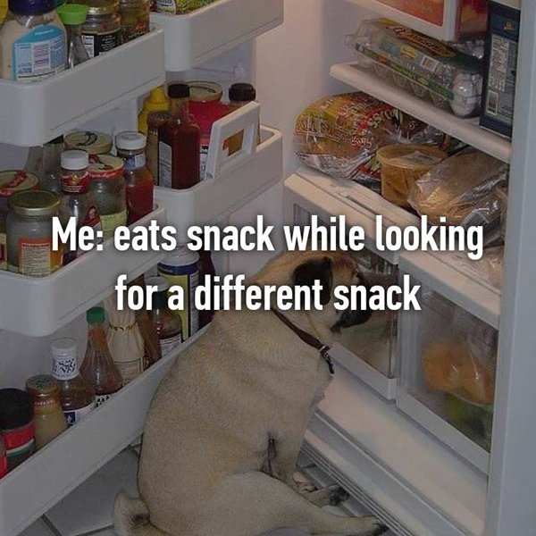 foodie problems eats snack whilst looking for a different snack