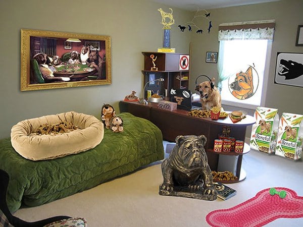 funny-parents-trolling-kids dog took over room