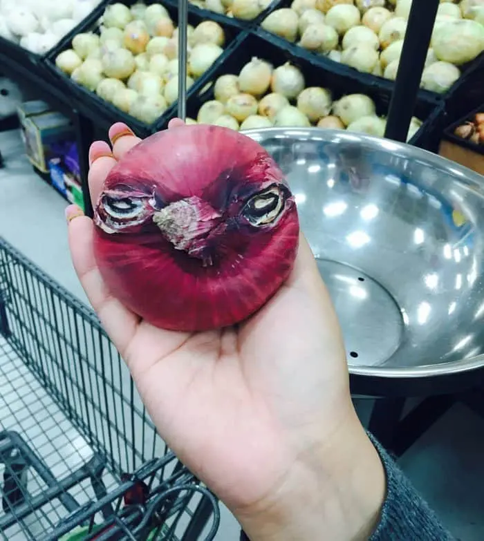 oddly-shaped-fruit-vegetables-angry-bird-onion