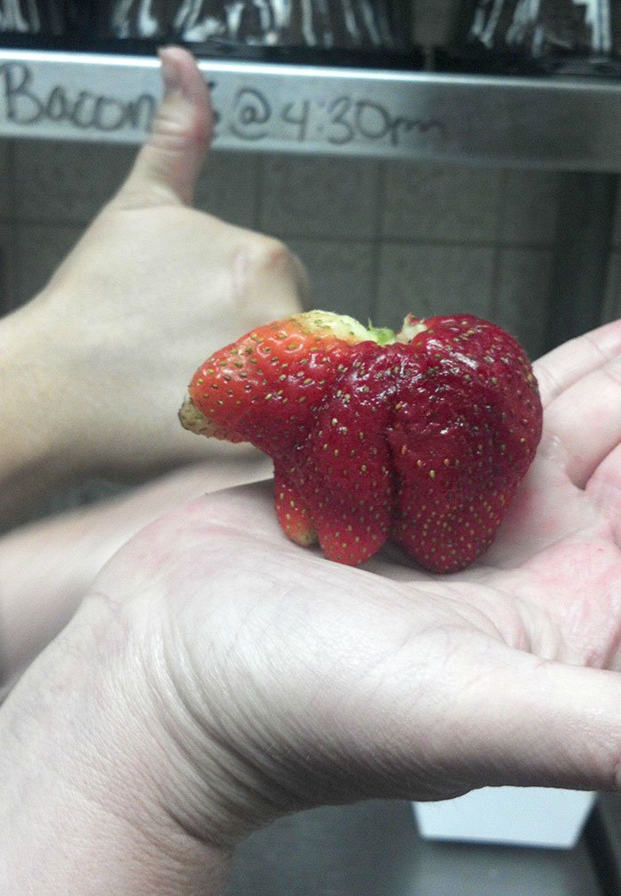 oddly-shaped-fruit-vegetables-bear-strawberry