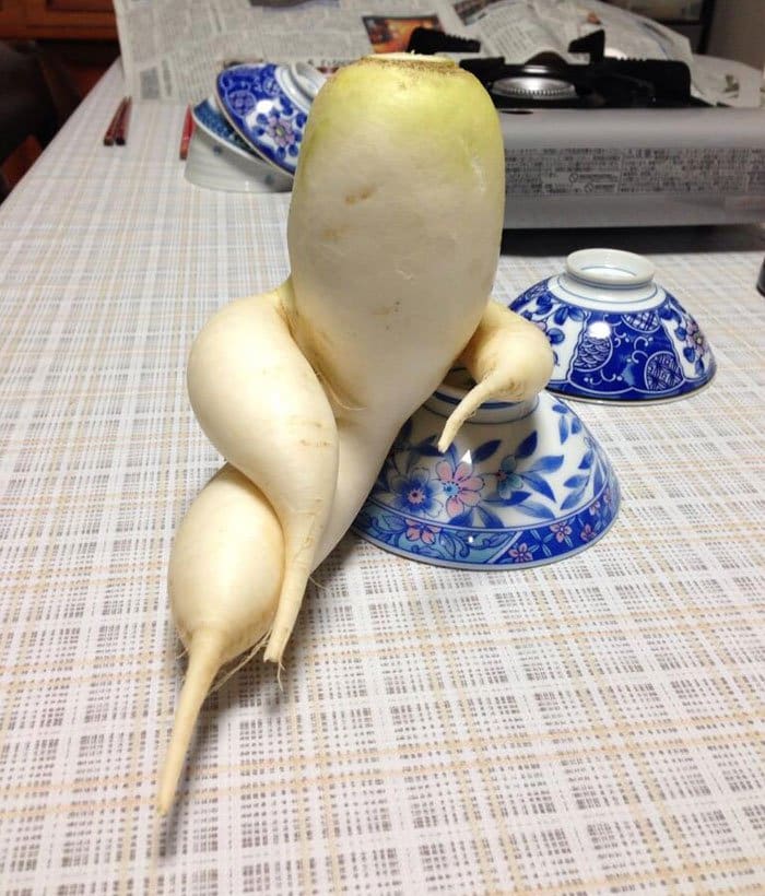 oddly-shaped-fruit-vegetables-draw-me-like-your-french-girls