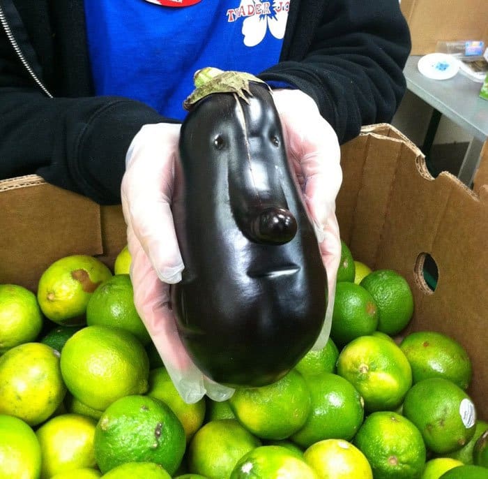 oddly-shaped-fruit-vegetables-long-faced-eggplant