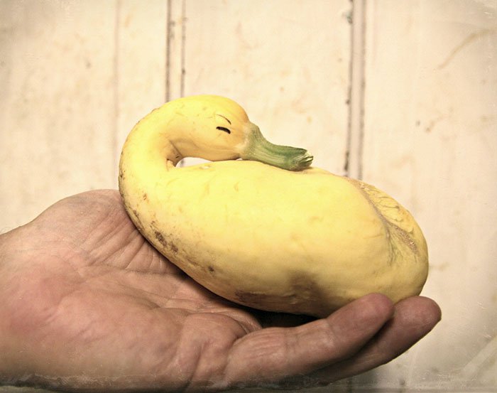 oddly-shaped-fruit-vegetables-squash-duck