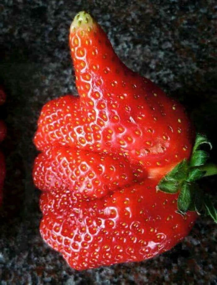 oddly-shaped-fruit-vegetables-thumbs-up-strawberry