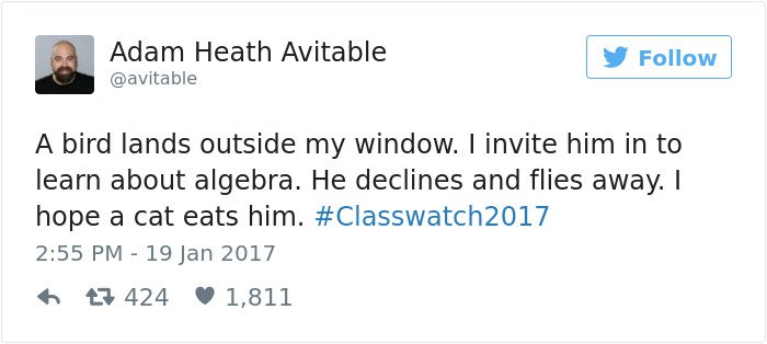 professor tweet bird lands on window