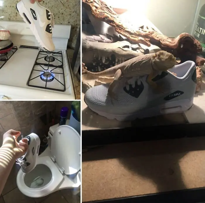 sibling pranks pics of new sneakers in danger