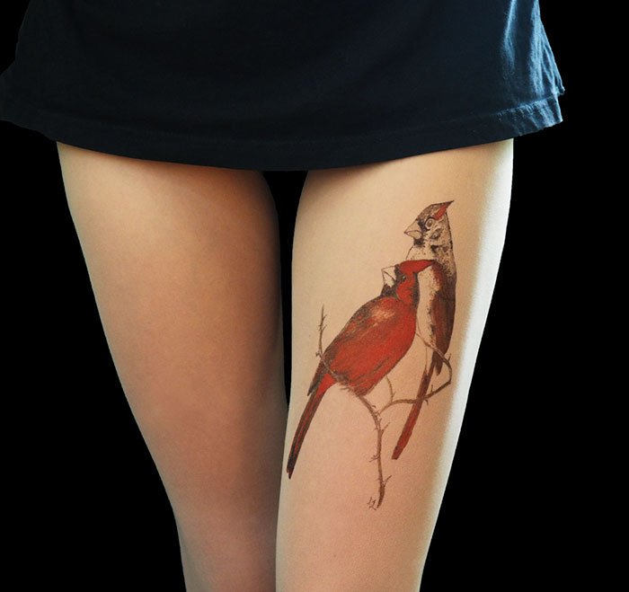 tattoo-tights birds cardinal
