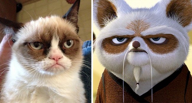 Real Life Cartoon Characters grumpy cat and master shifu kung fu panda