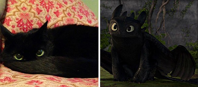 Real Life Cartoon Characters toothless