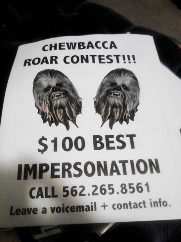 funny-couples best impersonation flyers