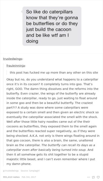 This inside look will change everything you thought you knew