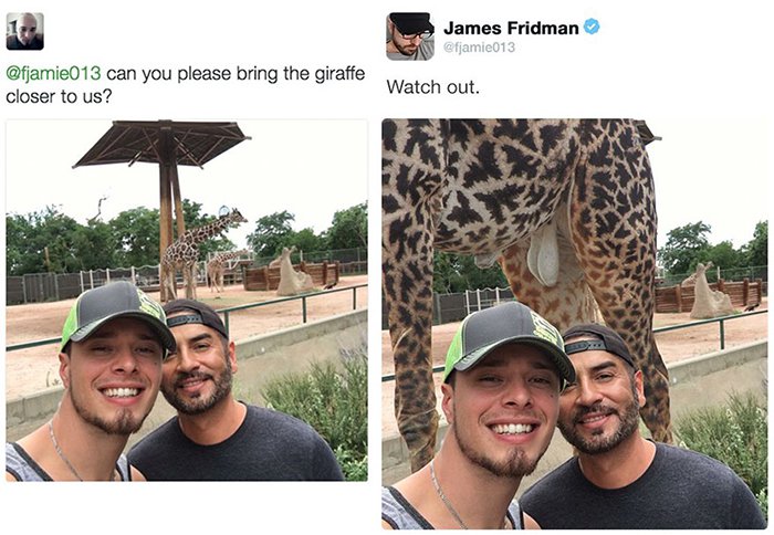 james fridman photoshop requests giraffe closer