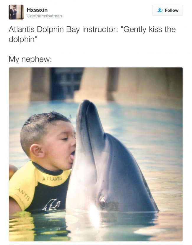 kid logic kiss dolphin gently