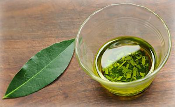 bay leaf oils