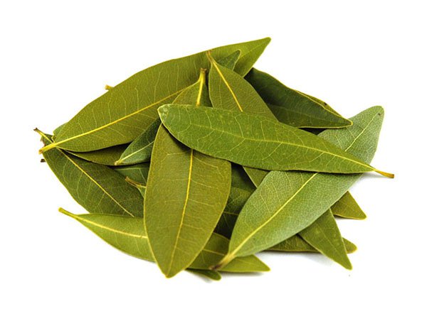 bay leaf pile