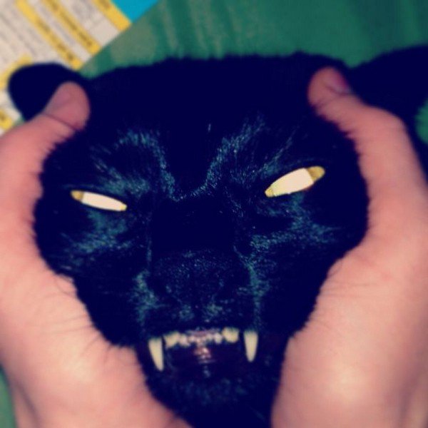 evil cats black scary face