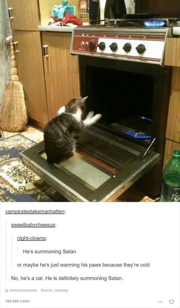 evil cats oven open