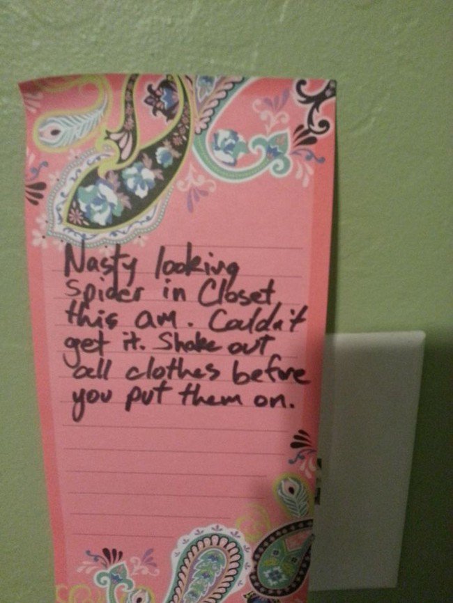 funny love notes spider closet