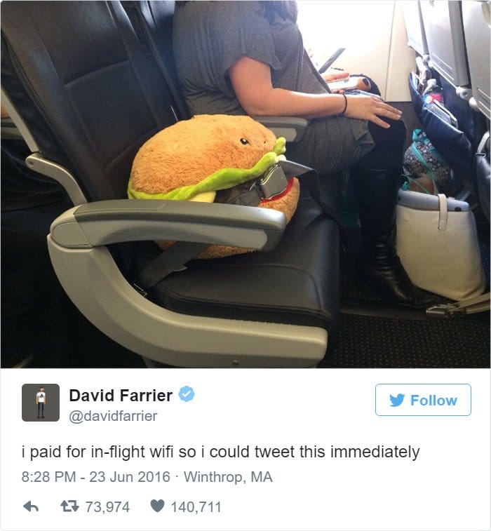 funny-things on plane burger toy strapped in