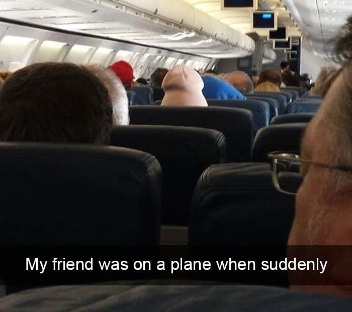 funny-things on plane penis hat