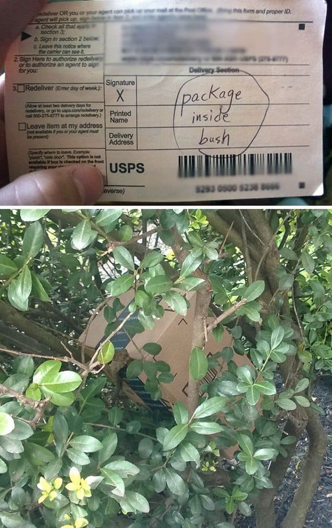 package inside bush