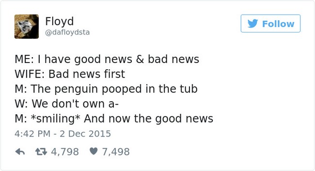 penguin pooping tweet