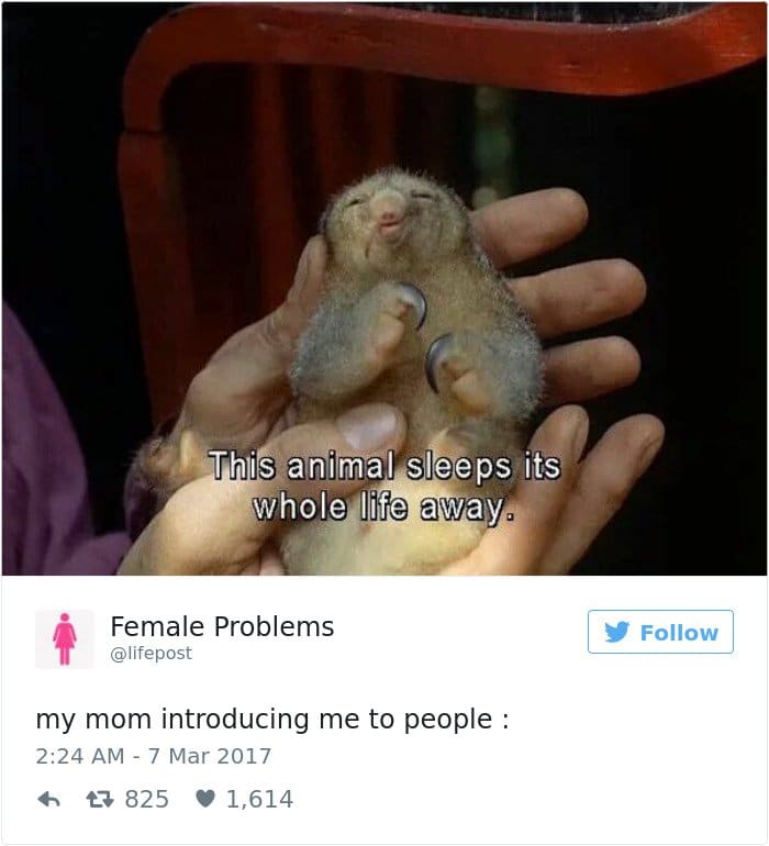 relatable-female tweets mom introducing me