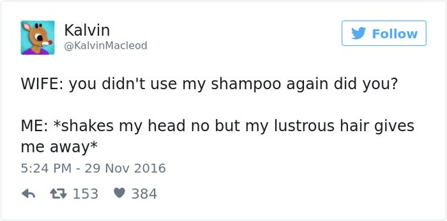 shampoo tweet