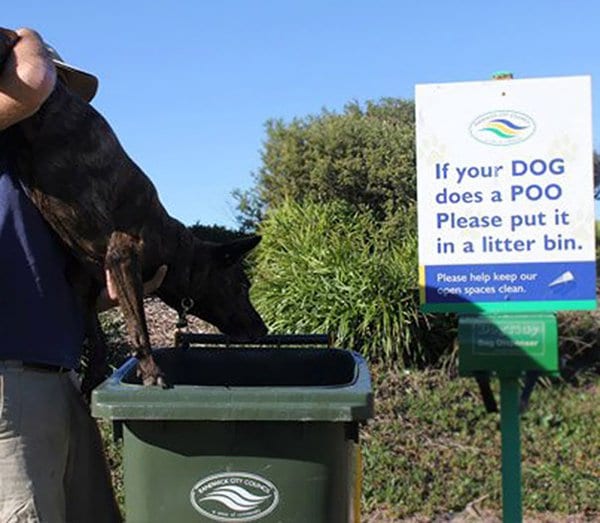 taking rules literally if your dog does a poo